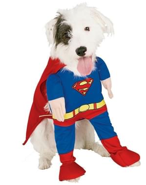 Fato de Super-Homem para cão